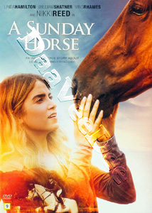 A Sunday Horse (DVD)